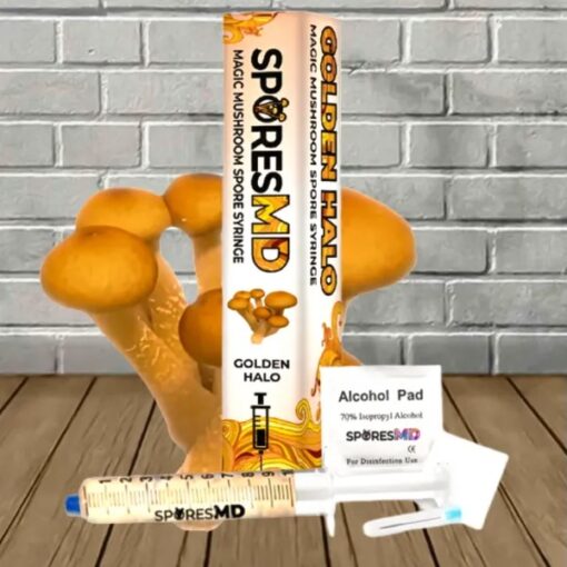golden halo mushroom spores