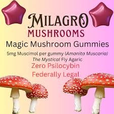 buy amanita muscaria gummies