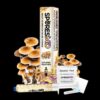 Golden Teacher Mushroom Liquid Culture (10ml)