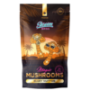 Bluey Vuitton Magic Mushroom