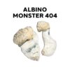 Albino monster 404 Magic Mushrooms