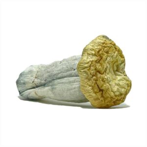 Order YETI Magic Mushrooms | Same Day GTA Delivery