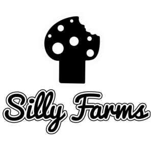 SILLY FARMS : MAGIC MUSHROOM CHOCOLATE